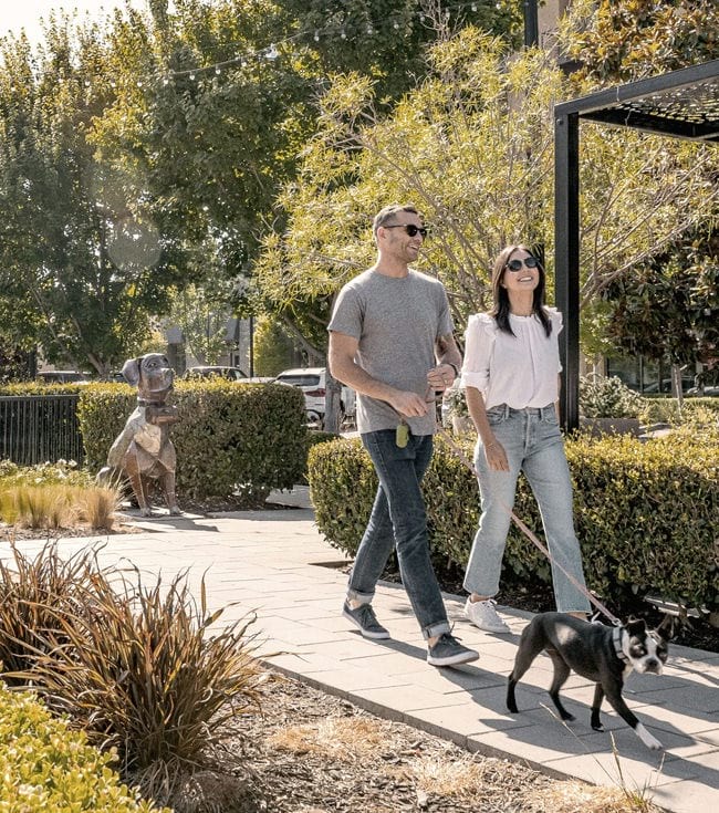 Couple walking their dog